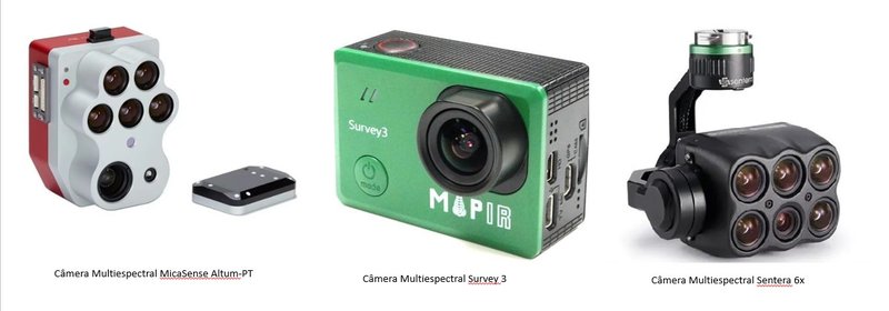 cameras